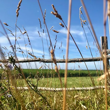 Сasa de vacaciones Boddenblick Fw Anton Wustrow (Fischland)