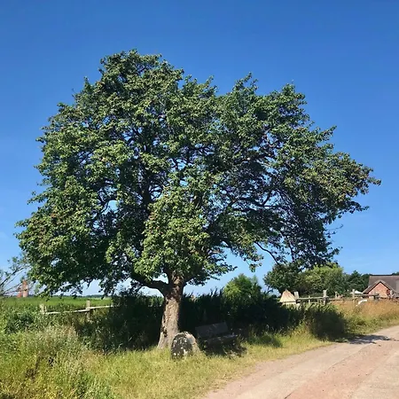 Сasa de vacaciones Boddenblick Fw Anton *